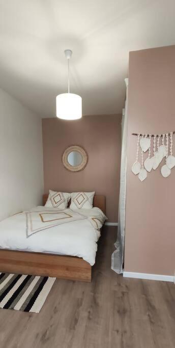 Logement 5 Personnes Proche Cv Et Parking Prive Lejlighed Saint-Etienne  Eksteriør billede