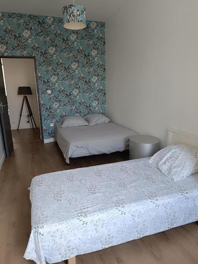 Logement 5 Personnes Proche Cv Et Parking Prive Lejlighed Saint-Etienne  Eksteriør billede